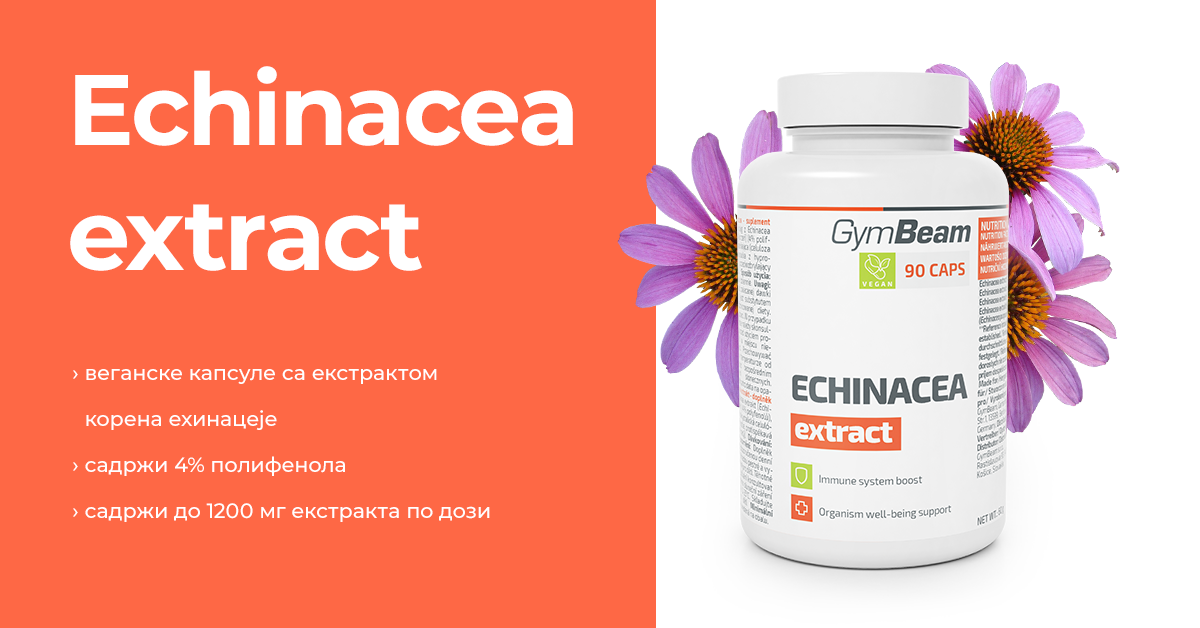 Echinacea - GymBeam